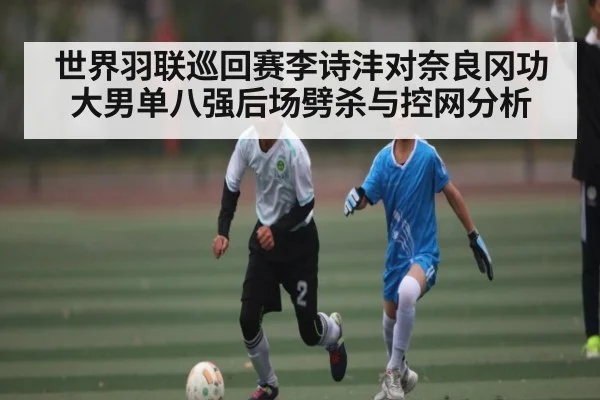 世界羽联巡回赛李诗沣对奈良冈功大男单八强后场劈杀与控网分析 - Anbo Sports